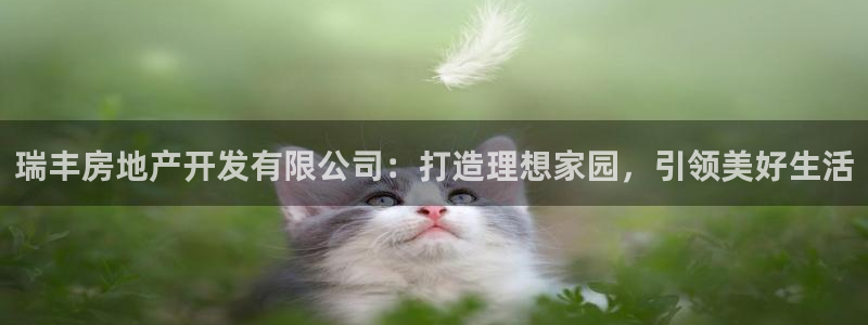 万向娱乐官网网址是什么