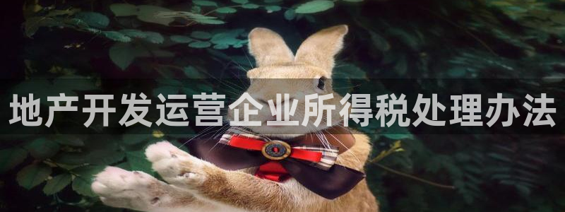 万向娱乐平台代理多少钱