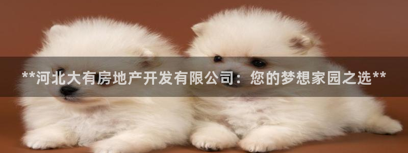 万向娱乐平台代理怎么样赚钱