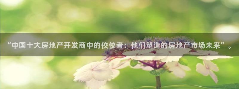 万向娱乐招商