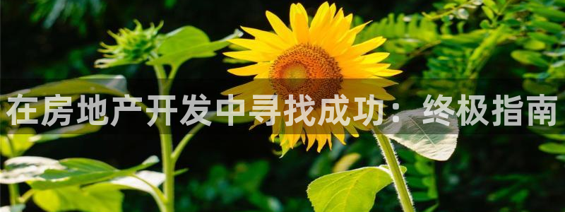 万向娱乐app