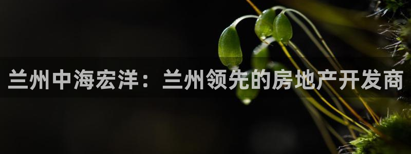 万向娱乐平台好不