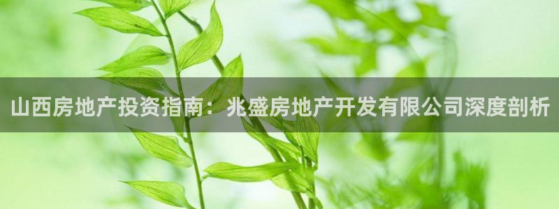 万向娱乐平台代理怎么做的