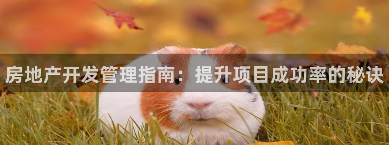 万向娱乐官网首页