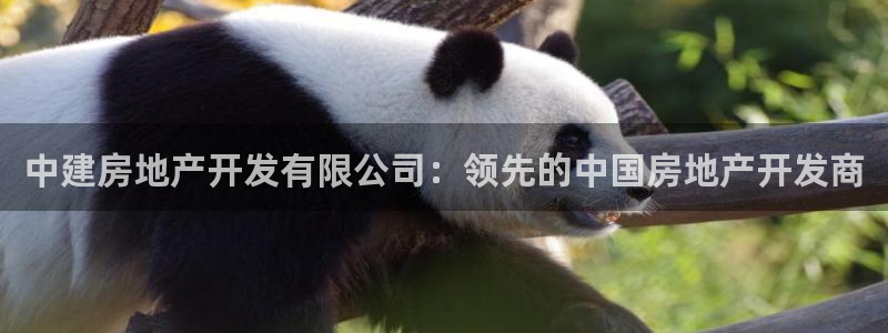 万向娱乐app下载官网