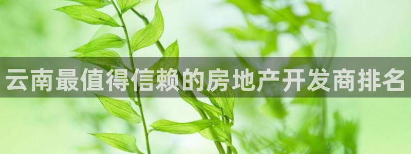 万向娱乐老板