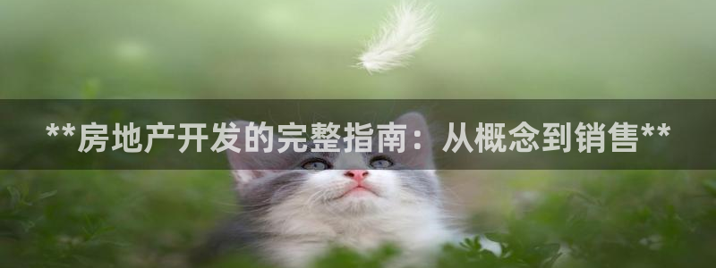 万向娱乐官网下载安装手机版