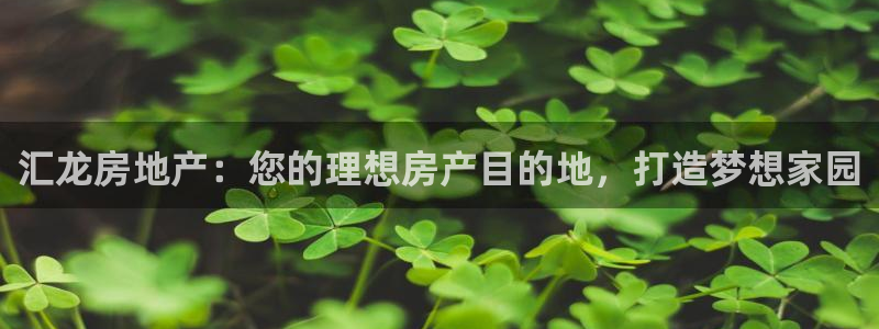 万向娱乐平台代理怎么样啊