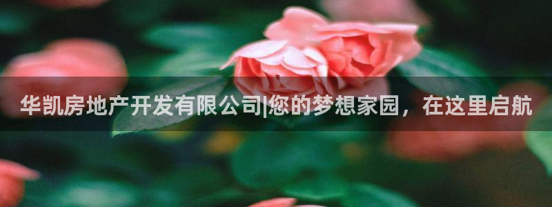 万向娱乐公司官网电话
