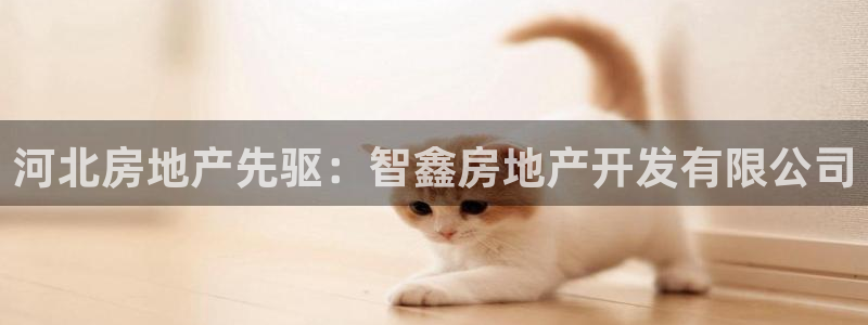 万向娱乐平台怎么下载