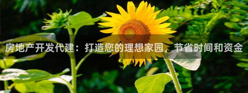 万向娱乐官网