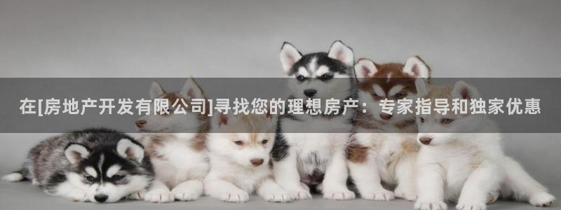 万向娱乐平台代理多少钱一年