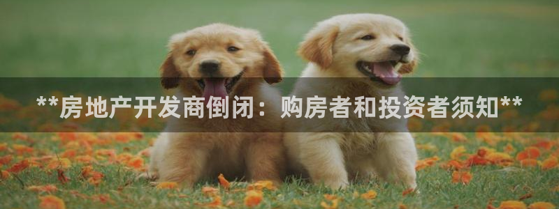 万向娱乐招商