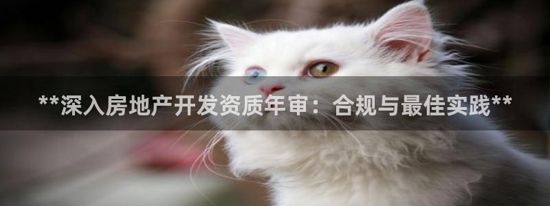 万向娱乐挂机