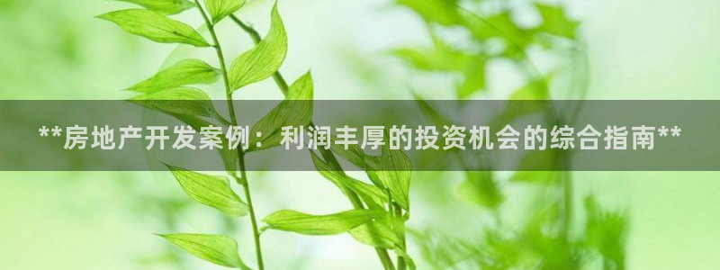 万向娱乐平台代理多少钱