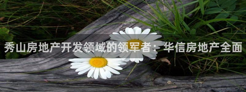 万向娱乐平台代理多少钱