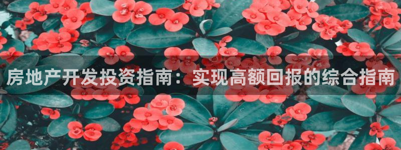 万能娱乐平台直招代理