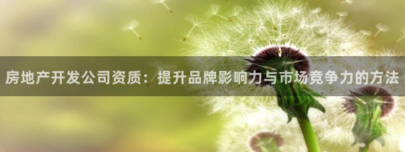 万向娱乐app