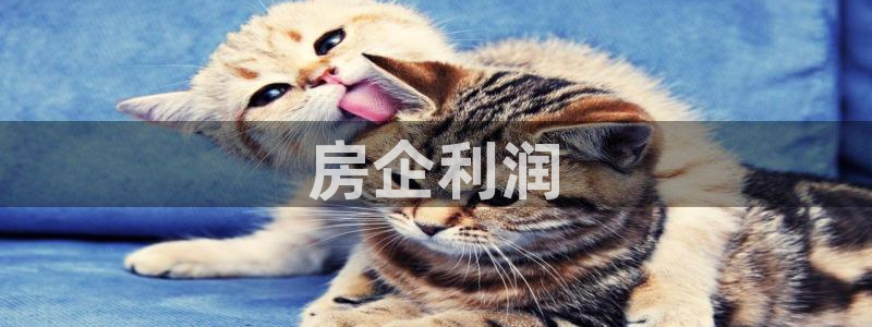 万向娱乐网址是什么