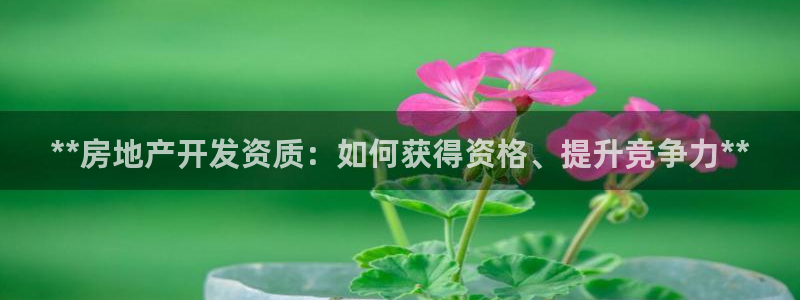 万向娱乐平台代理多少钱