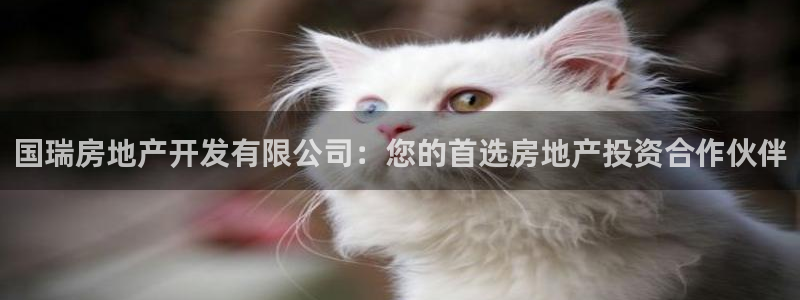 万向娱乐是野鸡台吗