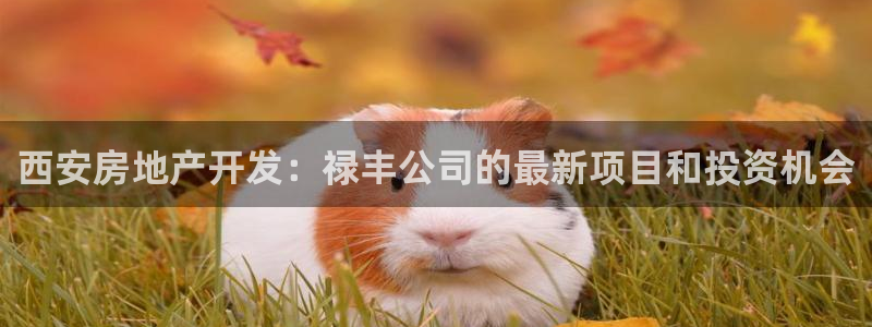 万向娱乐公司 585.34I 娱乐