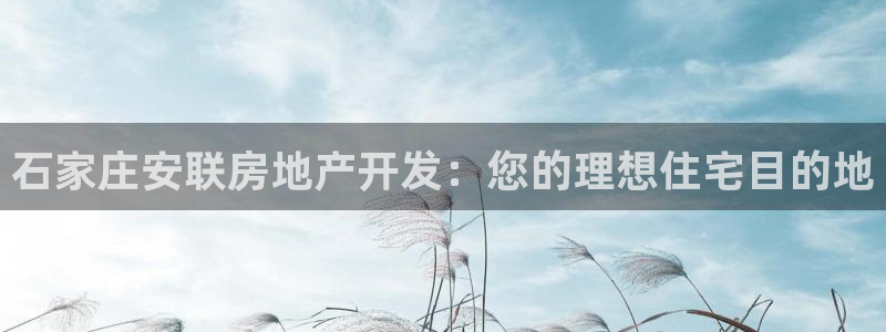 万向娱乐平台代理多少钱一个
