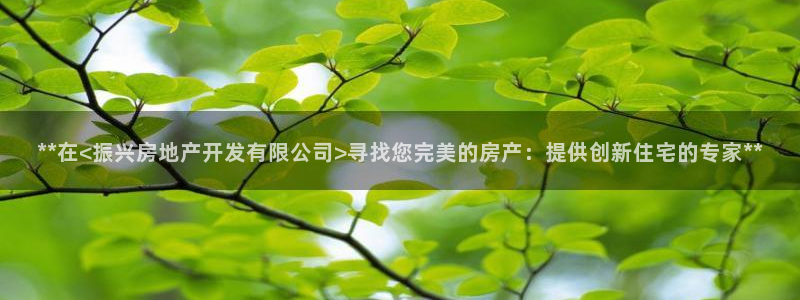 万向娱乐王者荣耀