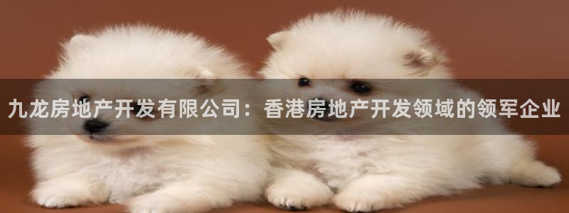 万向娱乐官网网址是什么