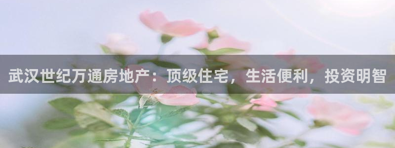 万向娱乐平台代理多少钱