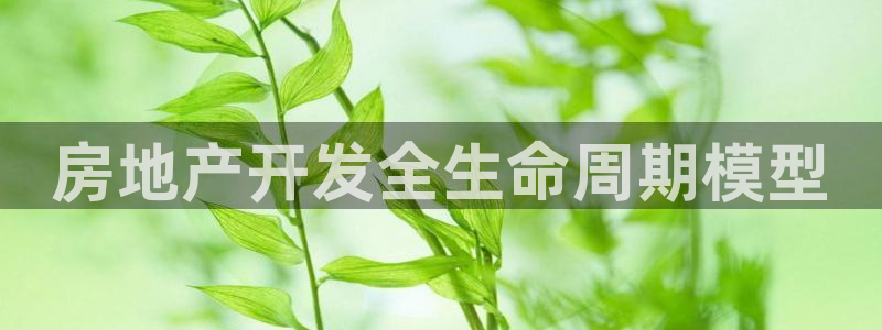 万向娱乐技术