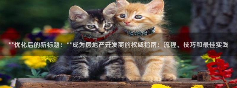 万向娱乐