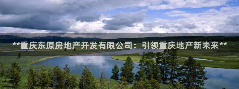 万向娱乐官网下载安卓