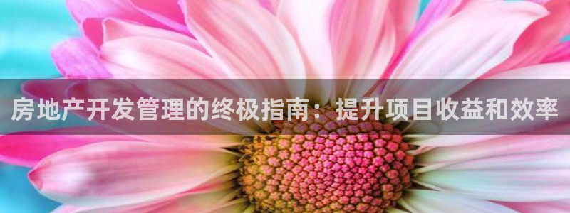 万向娱乐是野鸡台吗