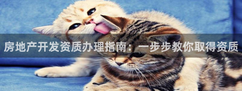 万向娱乐公司 585.34I 娱乐
