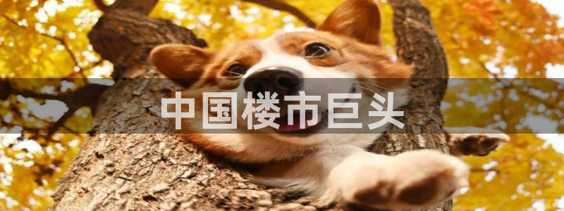 万能娱乐平台直招代理