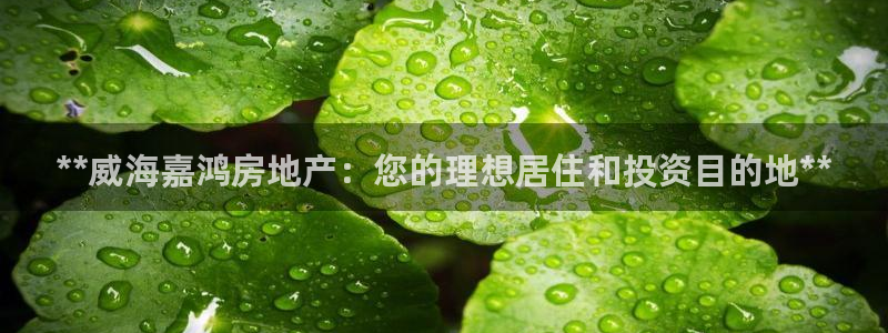 万向娱乐怎么样