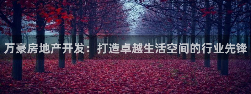 万向娱乐官网网址