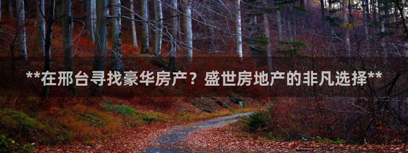 万向娱乐平台代理