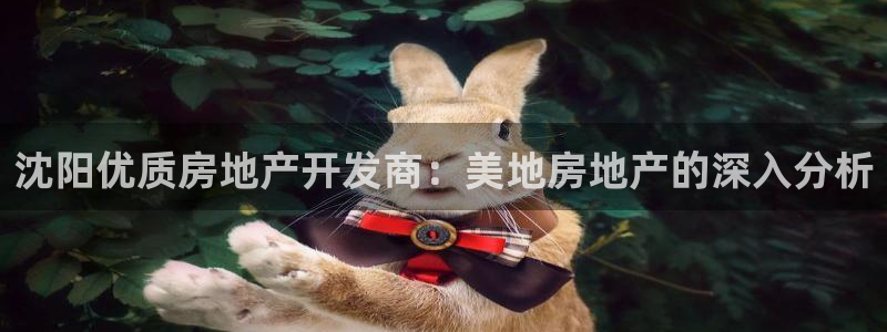 万向娱乐的联系方式是什么