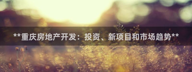 万向娱乐技术