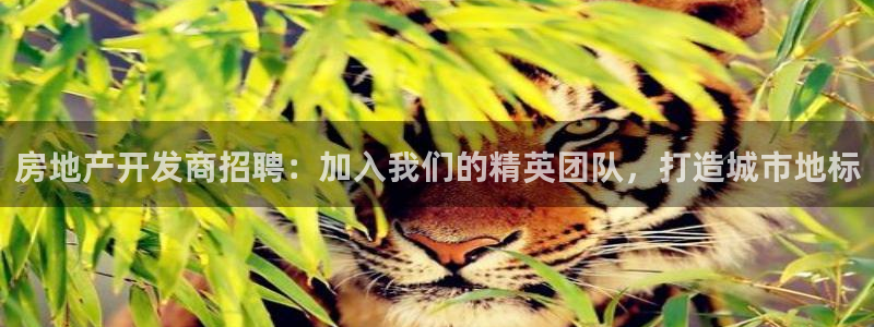 万向娱乐平台怎么下载