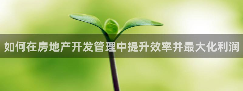 万向娱乐招商