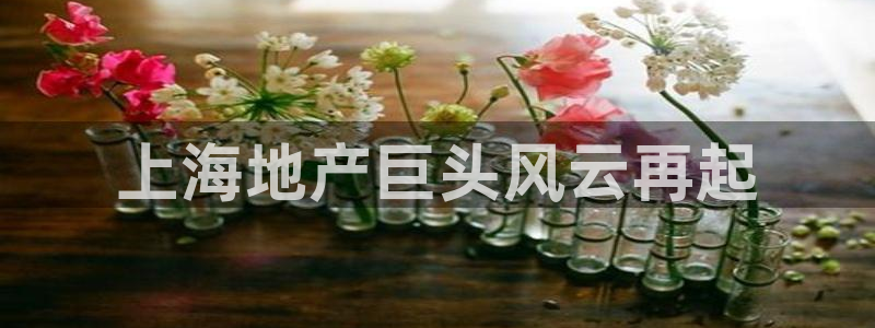 万向娱乐app下载