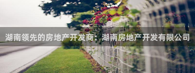 万向娱乐网址是什么