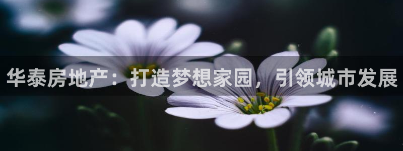 万向娱乐平台代理多少钱一年