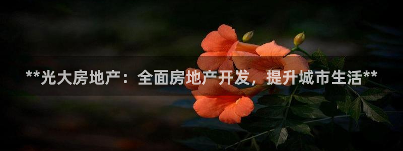 万能娱乐代理网址