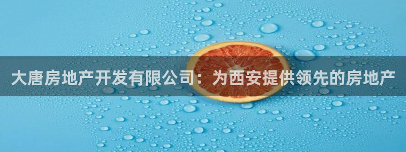 万向娱乐平台代理多少钱