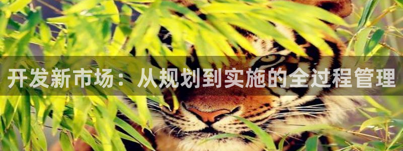 万向娱乐登陆官网下载