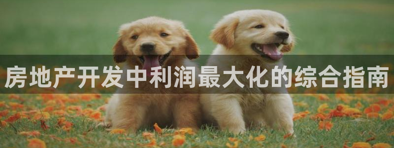 万向娱乐公司官网